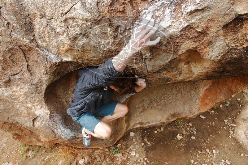 

Filename: SRM_20200315_0953060.jpg
Aperture: f/8.0
Shutter Speed: 1/80
Body: Canon EOS-1D Mark II
Lens: Canon EF 16-35mm f/2.8 L