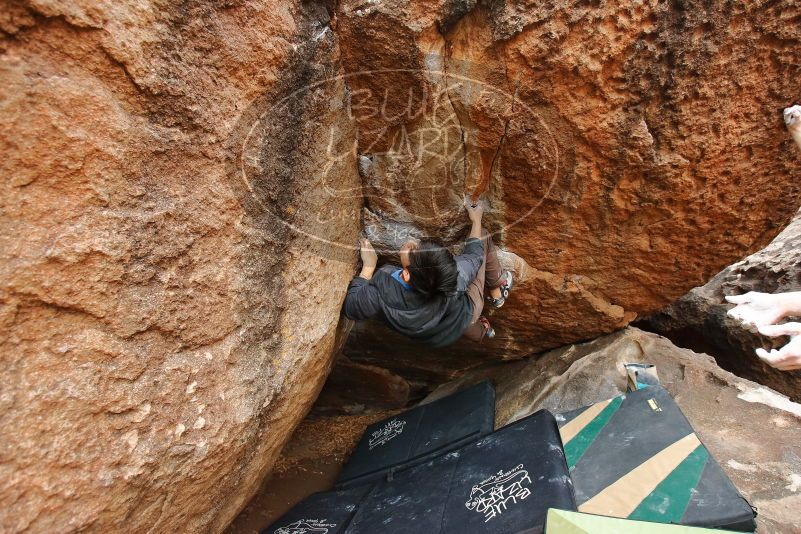 

Filename: SRM_20200315_1018590.jpg
Aperture: f/4.5
Shutter Speed: 1/320
Body: Canon EOS-1D Mark II
Lens: Canon EF 16-35mm f/2.8 L