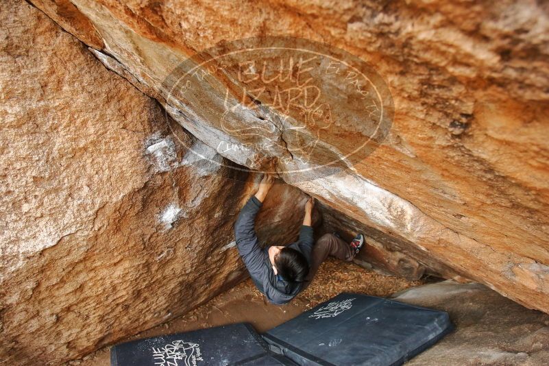 

Filename: SRM_20200315_1022320.jpg
Aperture: f/4.0
Shutter Speed: 1/250
Body: Canon EOS-1D Mark II
Lens: Canon EF 16-35mm f/2.8 L