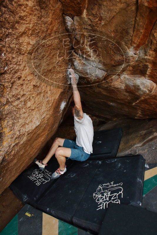 

Filename: SRM_20200315_1043390.jpg
Aperture: f/5.6
Shutter Speed: 1/320
Body: Canon EOS-1D Mark II
Lens: Canon EF 16-35mm f/2.8 L