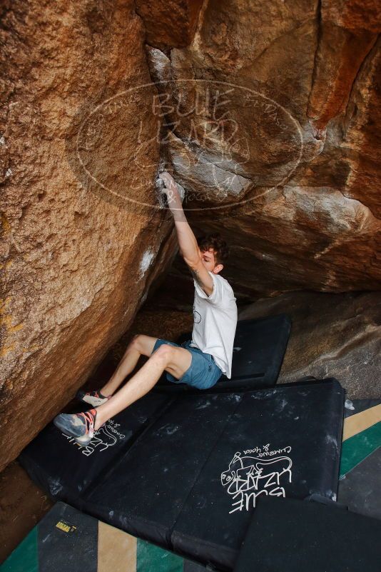 

Filename: SRM_20200315_1043400.jpg
Aperture: f/5.6
Shutter Speed: 1/320
Body: Canon EOS-1D Mark II
Lens: Canon EF 16-35mm f/2.8 L