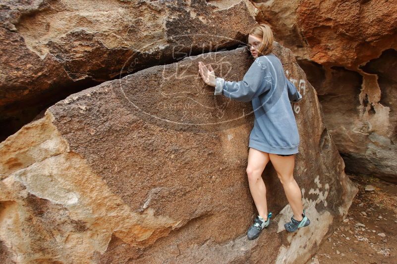 

Filename: SRM_20200315_1055300.jpg
Aperture: f/5.6
Shutter Speed: 1/320
Body: Canon EOS-1D Mark II
Lens: Canon EF 16-35mm f/2.8 L