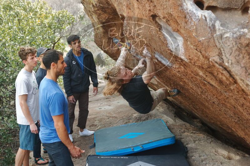 

Filename: SRM_20200315_1201200.jpg
Aperture: f/4.0
Shutter Speed: 1/200
Body: Canon EOS-1D Mark II
Lens: Canon EF 50mm f/1.8 II