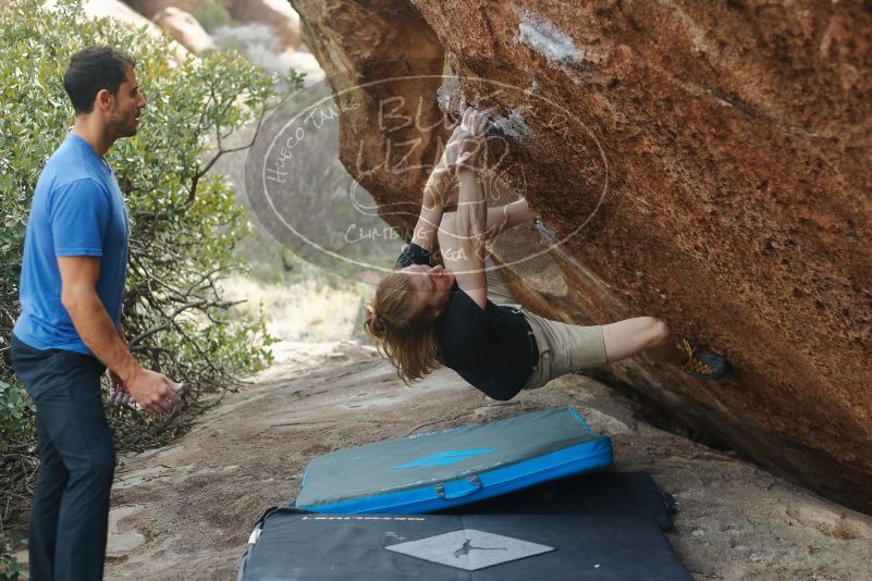 

Filename: SRM_20200315_1203000.jpg
Aperture: f/2.8
Shutter Speed: 1/500
Body: Canon EOS-1D Mark II
Lens: Canon EF 50mm f/1.8 II