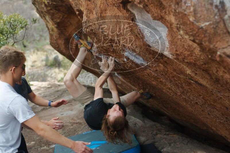 

Filename: SRM_20200315_1211160.jpg
Aperture: f/2.8
Shutter Speed: 1/800
Body: Canon EOS-1D Mark II
Lens: Canon EF 50mm f/1.8 II