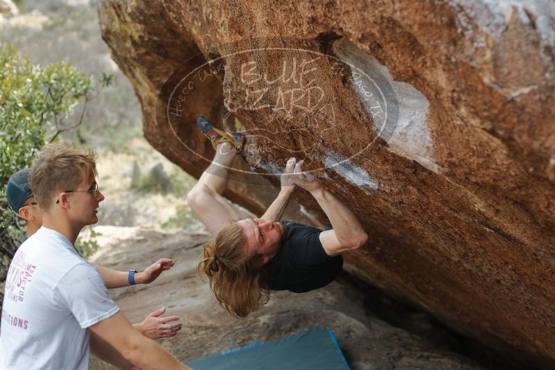 

Filename: SRM_20200315_1211200.jpg
Aperture: f/2.8
Shutter Speed: 1/800
Body: Canon EOS-1D Mark II
Lens: Canon EF 50mm f/1.8 II