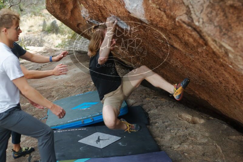 

Filename: SRM_20200315_1211230.jpg
Aperture: f/2.8
Shutter Speed: 1/800
Body: Canon EOS-1D Mark II
Lens: Canon EF 50mm f/1.8 II