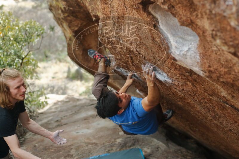 

Filename: SRM_20200315_1214040.jpg
Aperture: f/2.8
Shutter Speed: 1/800
Body: Canon EOS-1D Mark II
Lens: Canon EF 50mm f/1.8 II