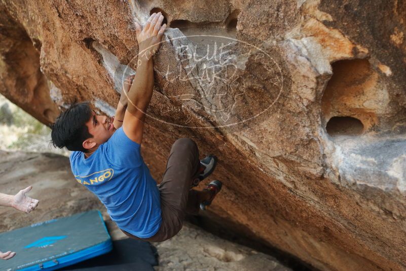 

Filename: SRM_20200315_1214250.jpg
Aperture: f/2.8
Shutter Speed: 1/800
Body: Canon EOS-1D Mark II
Lens: Canon EF 50mm f/1.8 II