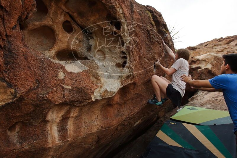 

Filename: SRM_20200315_1226130.jpg
Aperture: f/7.1
Shutter Speed: 1/320
Body: Canon EOS-1D Mark II
Lens: Canon EF 16-35mm f/2.8 L