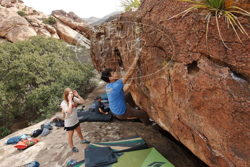 

Filename: SRM_20200315_1230020.jpg
Aperture: f/6.3
Shutter Speed: 1/320
Body: Canon EOS-1D Mark II
Lens: Canon EF 16-35mm f/2.8 L