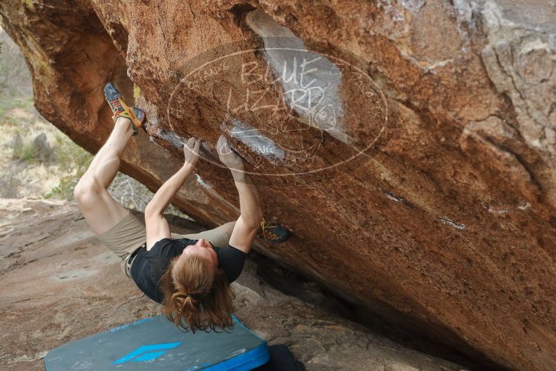 

Filename: SRM_20200315_1239471.jpg
Aperture: f/5.0
Shutter Speed: 1/320
Body: Canon EOS-1D Mark II
Lens: Canon EF 50mm f/1.8 II