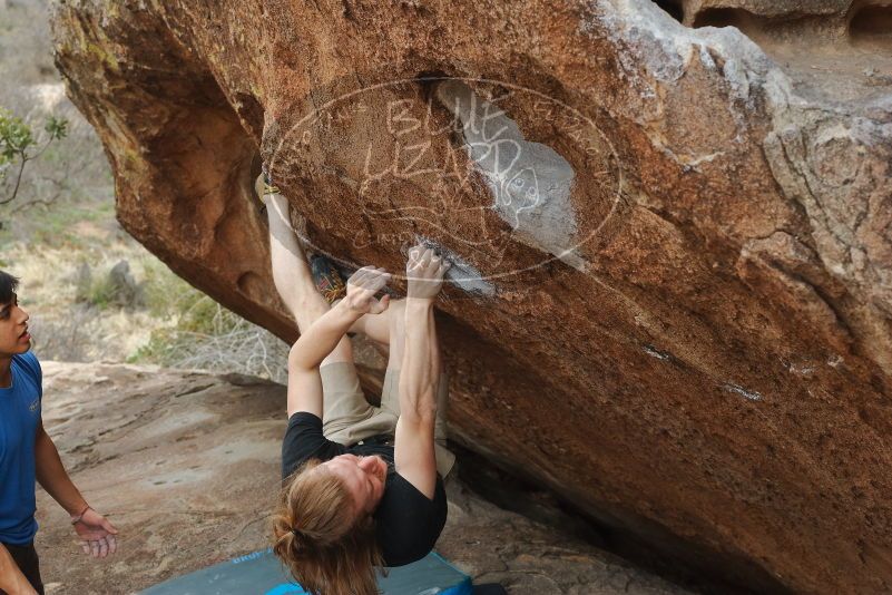 

Filename: SRM_20200315_1239550.jpg
Aperture: f/5.6
Shutter Speed: 1/320
Body: Canon EOS-1D Mark II
Lens: Canon EF 50mm f/1.8 II