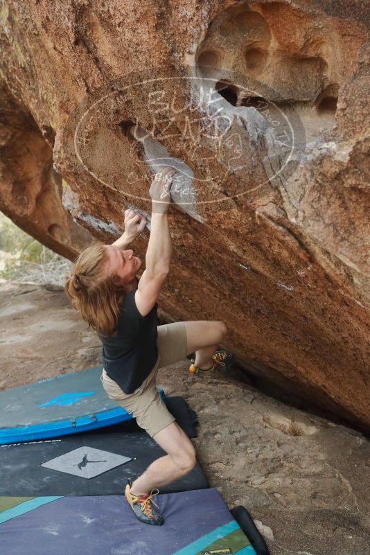 

Filename: SRM_20200315_1240120.jpg
Aperture: f/5.0
Shutter Speed: 1/320
Body: Canon EOS-1D Mark II
Lens: Canon EF 50mm f/1.8 II