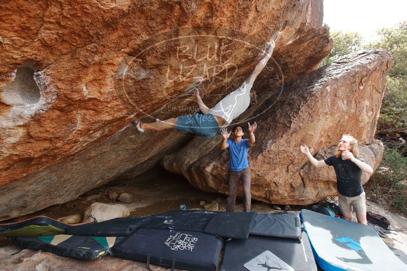 

Filename: SRM_20200315_1411210.jpg
Aperture: f/5.0
Shutter Speed: 1/320
Body: Canon EOS-1D Mark II
Lens: Canon EF 16-35mm f/2.8 L