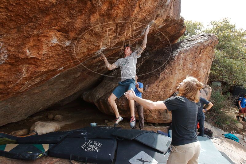 

Filename: SRM_20200315_1413420.jpg
Aperture: f/6.3
Shutter Speed: 1/320
Body: Canon EOS-1D Mark II
Lens: Canon EF 16-35mm f/2.8 L