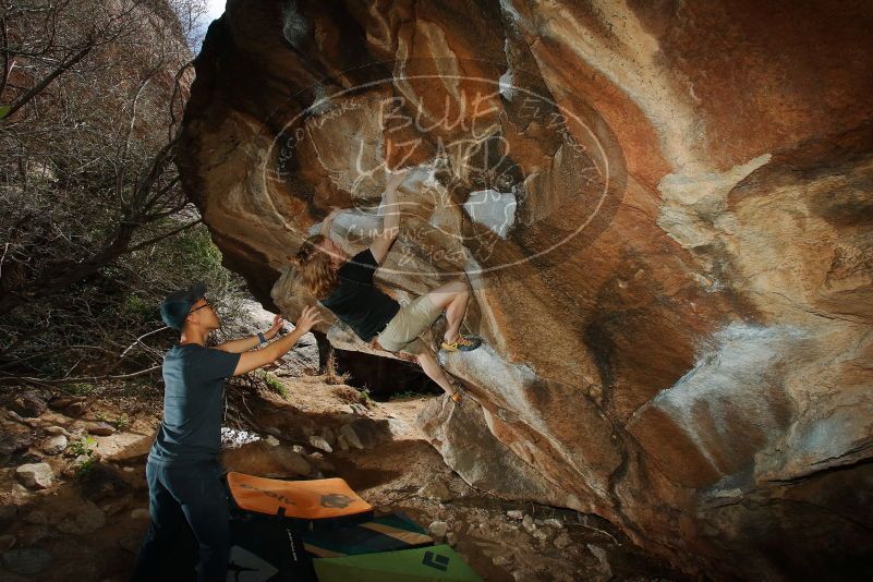 

Filename: SRM_20200315_1425100.jpg
Aperture: f/8.0
Shutter Speed: 1/250
Body: Canon EOS-1D Mark II
Lens: Canon EF 16-35mm f/2.8 L