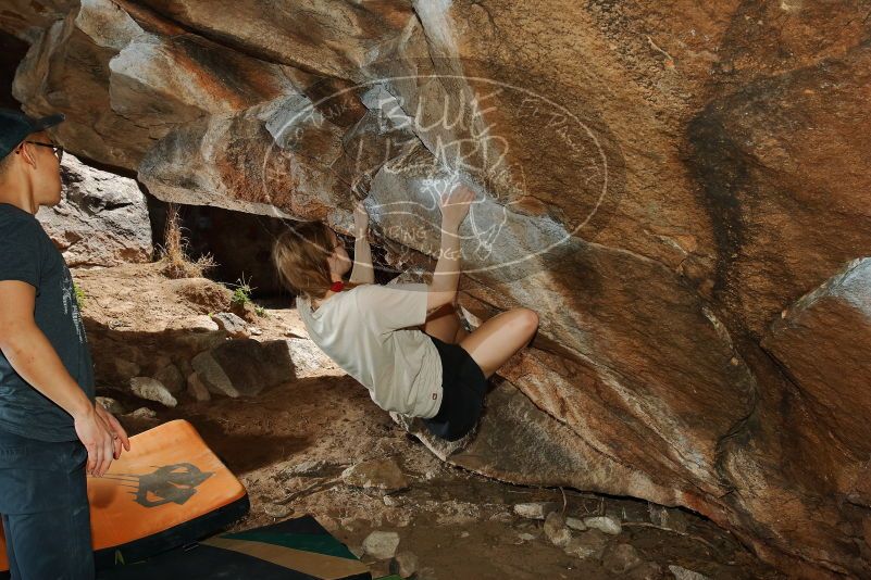 

Filename: SRM_20200315_1428110.jpg
Aperture: f/8.0
Shutter Speed: 1/250
Body: Canon EOS-1D Mark II
Lens: Canon EF 16-35mm f/2.8 L