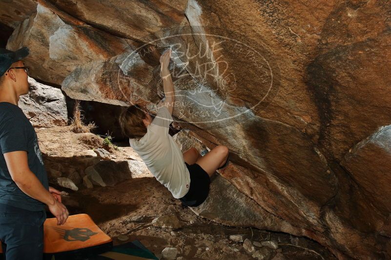 

Filename: SRM_20200315_1428120.jpg
Aperture: f/8.0
Shutter Speed: 1/250
Body: Canon EOS-1D Mark II
Lens: Canon EF 16-35mm f/2.8 L