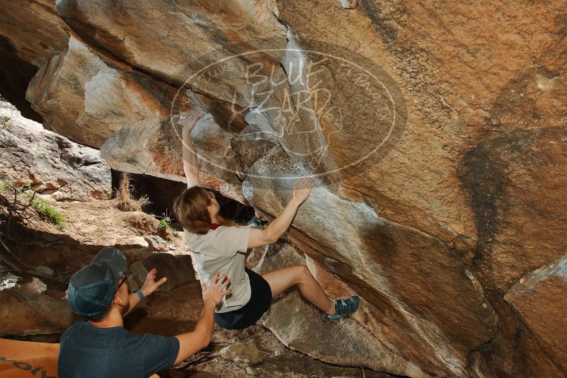 

Filename: SRM_20200315_1430050.jpg
Aperture: f/8.0
Shutter Speed: 1/250
Body: Canon EOS-1D Mark II
Lens: Canon EF 16-35mm f/2.8 L