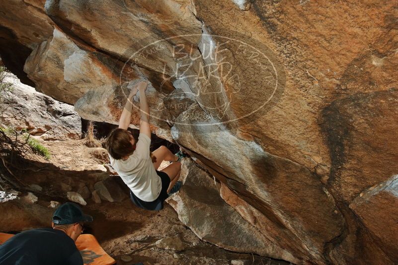 

Filename: SRM_20200315_1430070.jpg
Aperture: f/8.0
Shutter Speed: 1/250
Body: Canon EOS-1D Mark II
Lens: Canon EF 16-35mm f/2.8 L