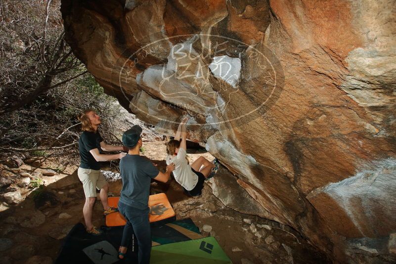 

Filename: SRM_20200315_1430130.jpg
Aperture: f/8.0
Shutter Speed: 1/250
Body: Canon EOS-1D Mark II
Lens: Canon EF 16-35mm f/2.8 L