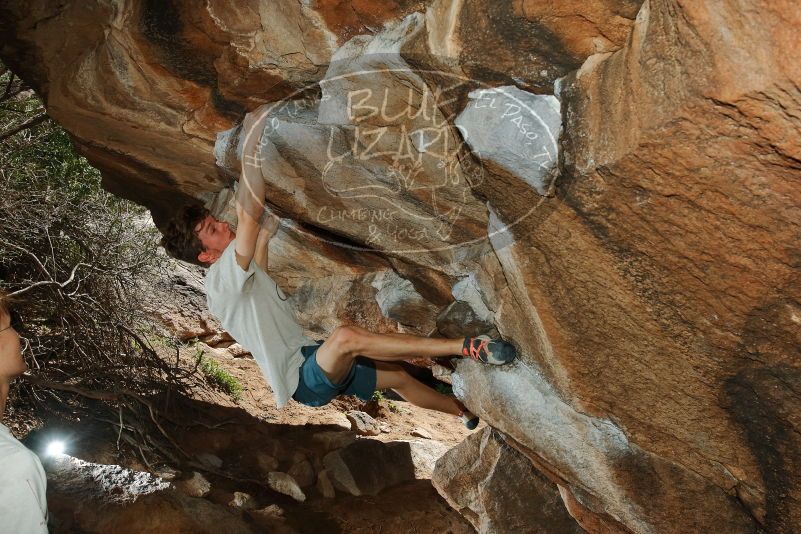 

Filename: SRM_20200315_1432070.jpg
Aperture: f/8.0
Shutter Speed: 1/250
Body: Canon EOS-1D Mark II
Lens: Canon EF 16-35mm f/2.8 L