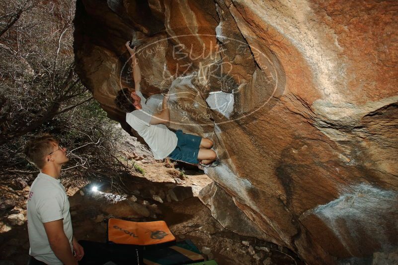 

Filename: SRM_20200315_1432110.jpg
Aperture: f/8.0
Shutter Speed: 1/250
Body: Canon EOS-1D Mark II
Lens: Canon EF 16-35mm f/2.8 L