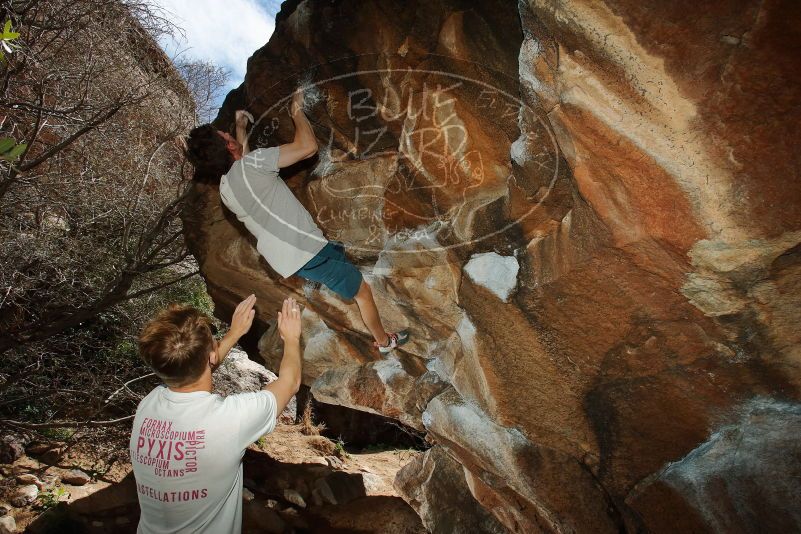 

Filename: SRM_20200315_1432170.jpg
Aperture: f/8.0
Shutter Speed: 1/250
Body: Canon EOS-1D Mark II
Lens: Canon EF 16-35mm f/2.8 L