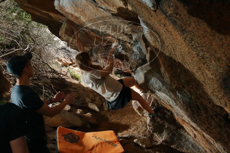 

Filename: SRM_20200315_1439010.jpg
Aperture: f/8.0
Shutter Speed: 1/250
Body: Canon EOS-1D Mark II
Lens: Canon EF 16-35mm f/2.8 L