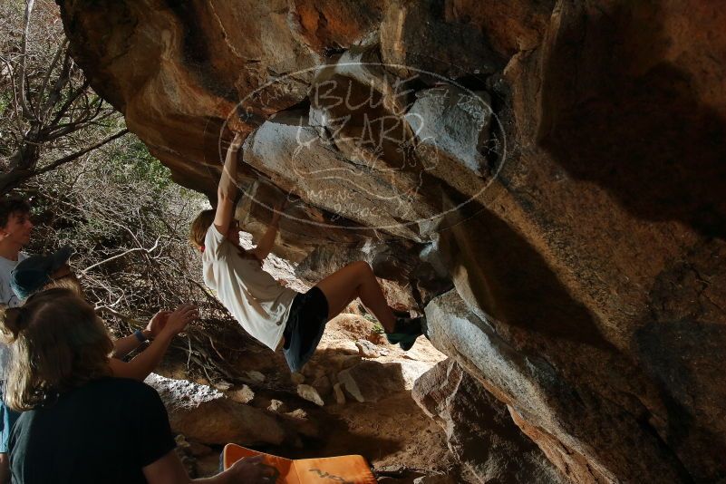 

Filename: SRM_20200315_1439070.jpg
Aperture: f/8.0
Shutter Speed: 1/250
Body: Canon EOS-1D Mark II
Lens: Canon EF 16-35mm f/2.8 L