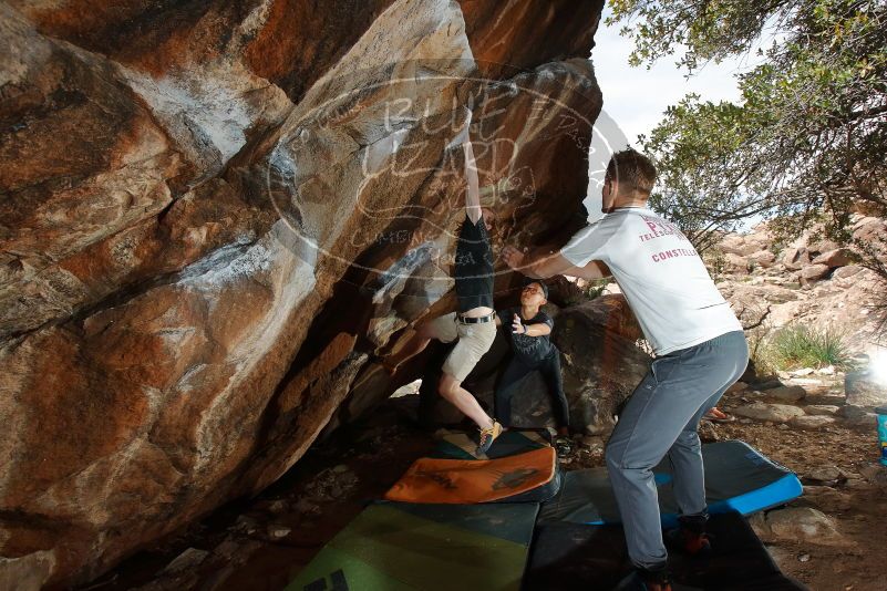 

Filename: SRM_20200315_1448160.jpg
Aperture: f/8.0
Shutter Speed: 1/250
Body: Canon EOS-1D Mark II
Lens: Canon EF 16-35mm f/2.8 L