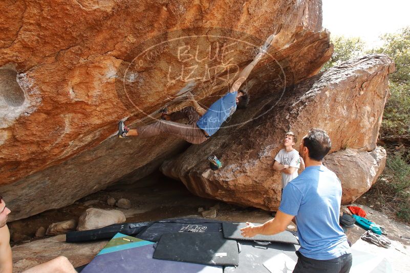 

Filename: SRM_20200315_1451280.jpg
Aperture: f/7.1
Shutter Speed: 1/250
Body: Canon EOS-1D Mark II
Lens: Canon EF 16-35mm f/2.8 L