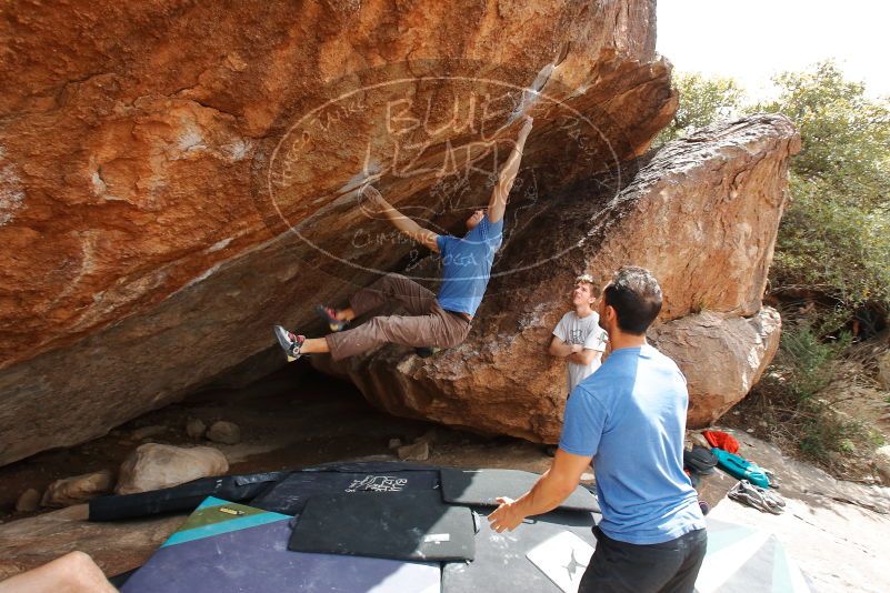 

Filename: SRM_20200315_1451281.jpg
Aperture: f/7.1
Shutter Speed: 1/250
Body: Canon EOS-1D Mark II
Lens: Canon EF 16-35mm f/2.8 L