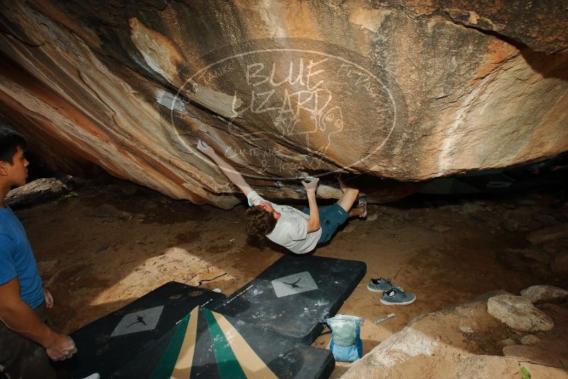 

Filename: SRM_20200315_1510570.jpg
Aperture: f/8.0
Shutter Speed: 1/250
Body: Canon EOS-1D Mark II
Lens: Canon EF 16-35mm f/2.8 L