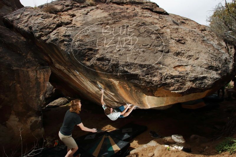 

Filename: SRM_20200315_1531570.jpg
Aperture: f/8.0
Shutter Speed: 1/250
Body: Canon EOS-1D Mark II
Lens: Canon EF 16-35mm f/2.8 L