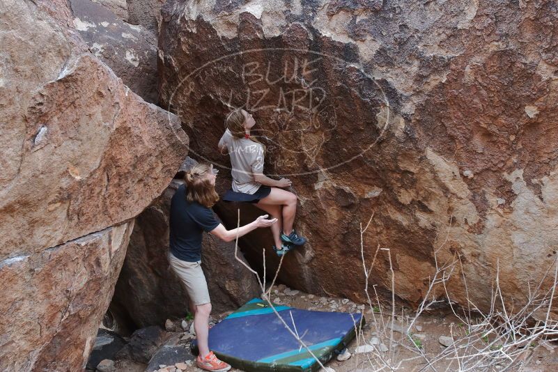 

Filename: SRM_20200315_1536100.jpg
Aperture: f/4.5
Shutter Speed: 1/250
Body: Canon EOS-1D Mark II
Lens: Canon EF 16-35mm f/2.8 L