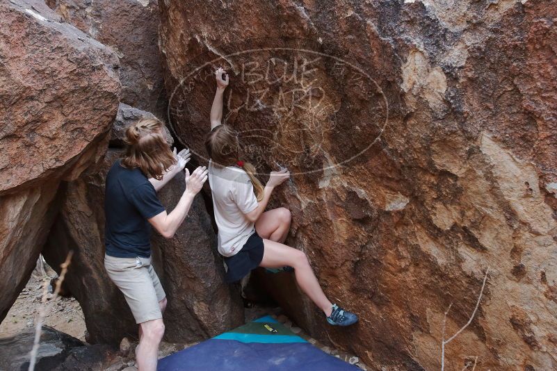 

Filename: SRM_20200315_1537490.jpg
Aperture: f/5.0
Shutter Speed: 1/250
Body: Canon EOS-1D Mark II
Lens: Canon EF 16-35mm f/2.8 L