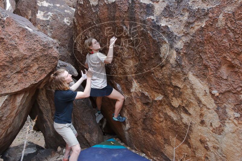 

Filename: SRM_20200315_1537530.jpg
Aperture: f/5.0
Shutter Speed: 1/250
Body: Canon EOS-1D Mark II
Lens: Canon EF 16-35mm f/2.8 L