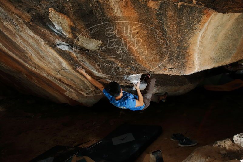 

Filename: SRM_20200315_1540100.jpg
Aperture: f/8.0
Shutter Speed: 1/250
Body: Canon EOS-1D Mark II
Lens: Canon EF 16-35mm f/2.8 L