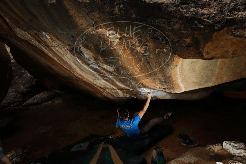 

Filename: SRM_20200315_1540150.jpg
Aperture: f/8.0
Shutter Speed: 1/250
Body: Canon EOS-1D Mark II
Lens: Canon EF 16-35mm f/2.8 L