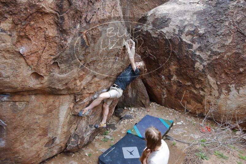 

Filename: SRM_20200315_1548000.jpg
Aperture: f/5.6
Shutter Speed: 1/250
Body: Canon EOS-1D Mark II
Lens: Canon EF 16-35mm f/2.8 L