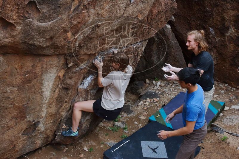 

Filename: SRM_20200315_1550000.jpg
Aperture: f/7.1
Shutter Speed: 1/250
Body: Canon EOS-1D Mark II
Lens: Canon EF 16-35mm f/2.8 L