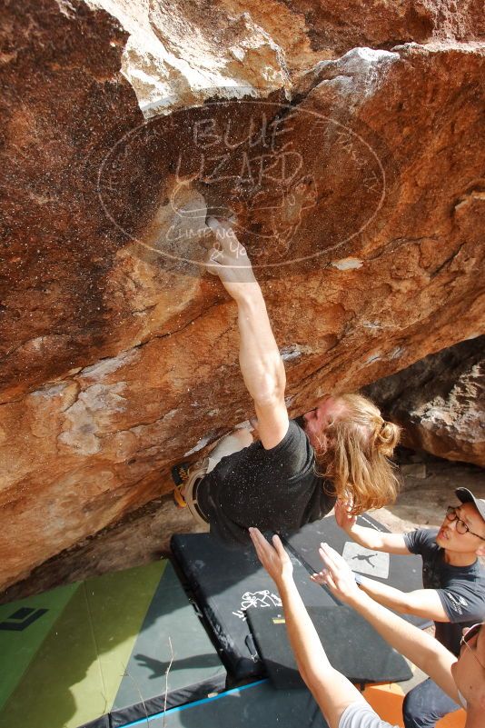 

Filename: SRM_20200315_1609390.jpg
Aperture: f/8.0
Shutter Speed: 1/250
Body: Canon EOS-1D Mark II
Lens: Canon EF 16-35mm f/2.8 L