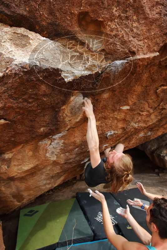 

Filename: SRM_20200315_1614580.jpg
Aperture: f/6.3
Shutter Speed: 1/250
Body: Canon EOS-1D Mark II
Lens: Canon EF 16-35mm f/2.8 L