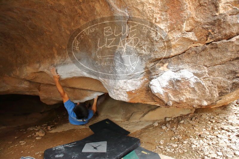 

Filename: SRM_20200315_1626290.jpg
Aperture: f/2.8
Shutter Speed: 1/160
Body: Canon EOS-1D Mark II
Lens: Canon EF 16-35mm f/2.8 L