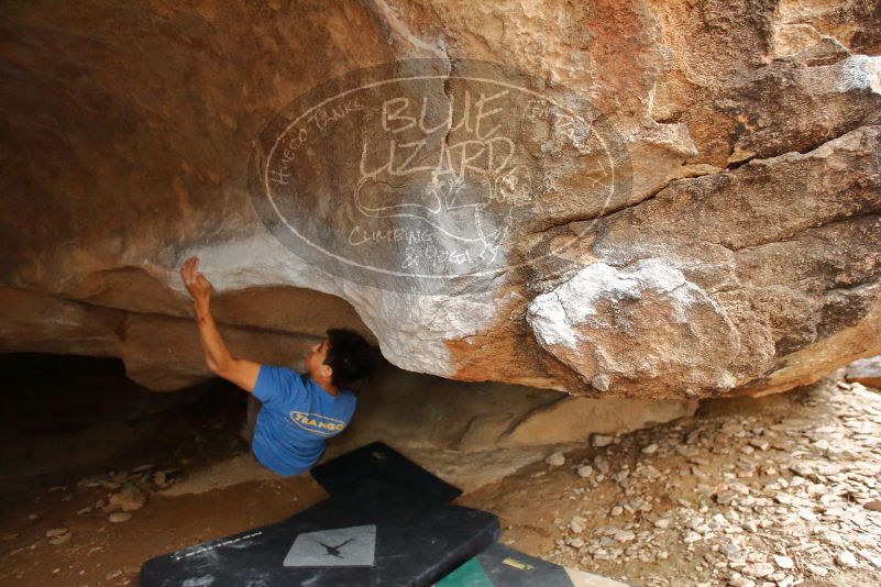 

Filename: SRM_20200315_1626300.jpg
Aperture: f/2.8
Shutter Speed: 1/200
Body: Canon EOS-1D Mark II
Lens: Canon EF 16-35mm f/2.8 L