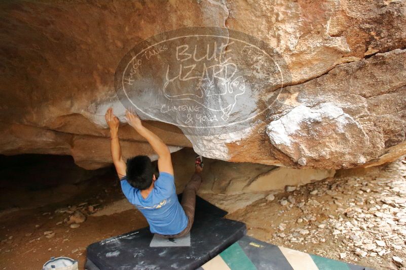 

Filename: SRM_20200315_1626420.jpg
Aperture: f/3.2
Shutter Speed: 1/250
Body: Canon EOS-1D Mark II
Lens: Canon EF 16-35mm f/2.8 L