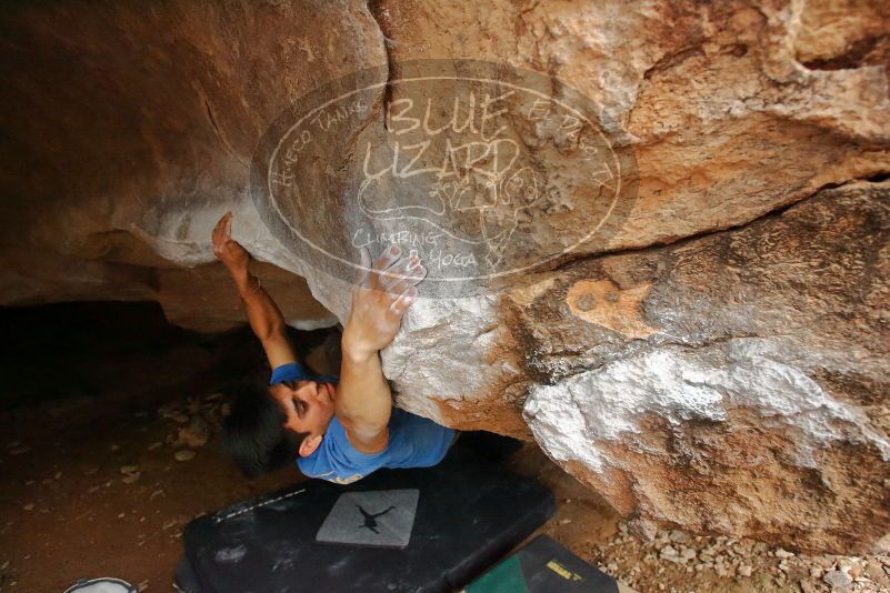 

Filename: SRM_20200315_1627241.jpg
Aperture: f/4.5
Shutter Speed: 1/250
Body: Canon EOS-1D Mark II
Lens: Canon EF 16-35mm f/2.8 L