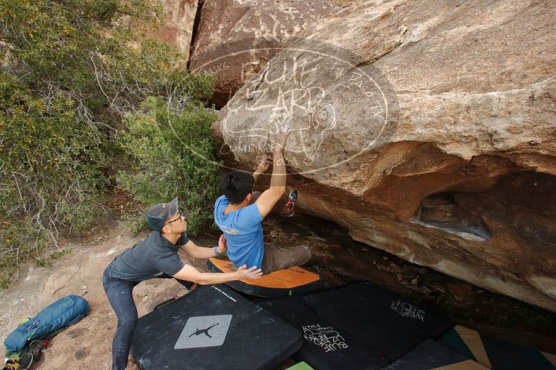 

Filename: SRM_20200315_1702540.jpg
Aperture: f/9.0
Shutter Speed: 1/500
Body: Canon EOS-1D Mark II
Lens: Canon EF 16-35mm f/2.8 L